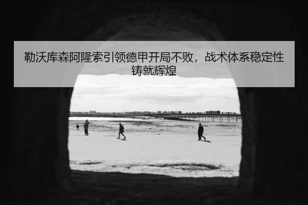 勒沃库森阿隆索引领德甲开局不败，战术体系稳定性铸就辉煌