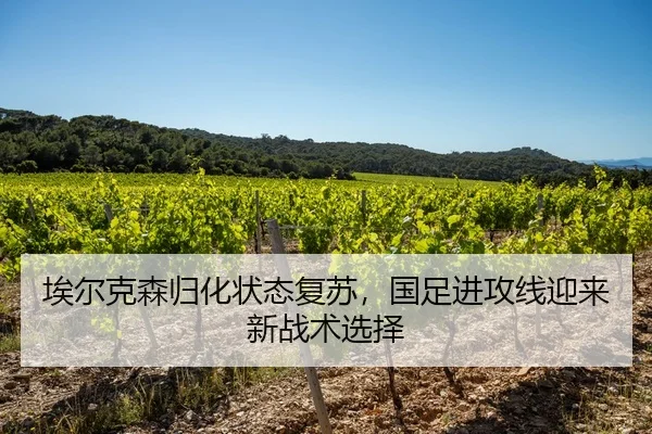 埃尔克森归化状态复苏，国足进攻线迎来新战术选择